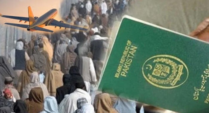 Afghan Nationals, Fake Pakistani Documents, Saudi Arabia