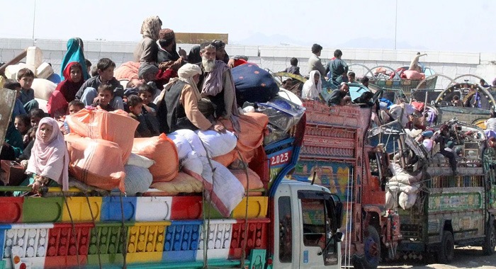 Afghan, Three Weeks, Pakistan, Crackdown