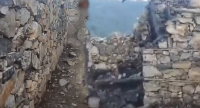 Attack, Check-post, Tribal Elders