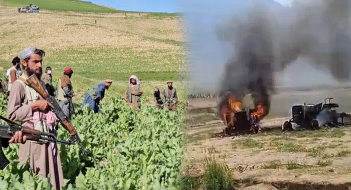 Badakhshan, Clash with Taliban, Poppy Crackdown, Afghanistan, Jurm district