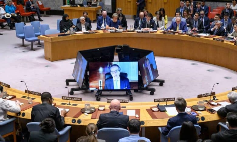 Security Council