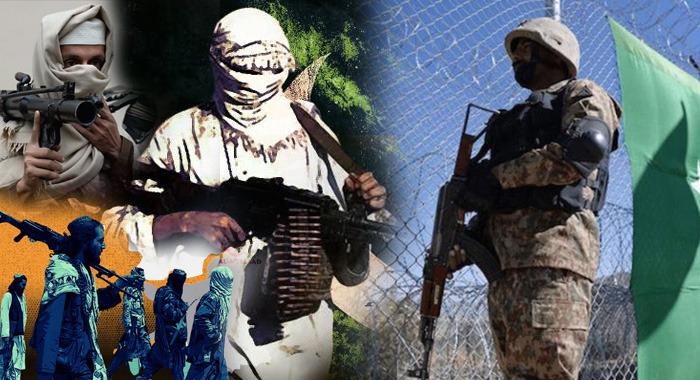 Afghanistan, TTP Safe Havens, United Nations, UN Quarterly Report, terrorists in Afghanistan
