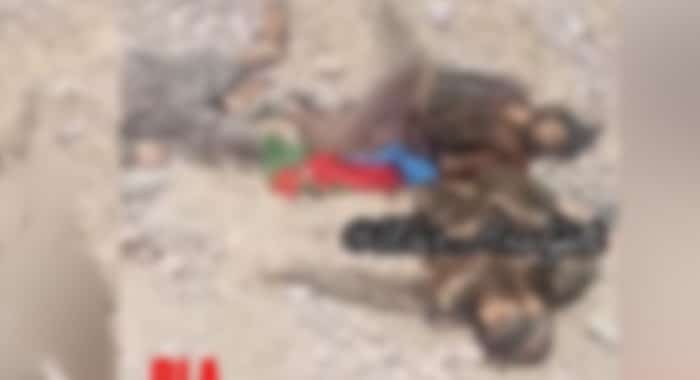 Fitna al-Hindustan, Duki IBO, Balochistan, India-backed proxy networks, Security Forces