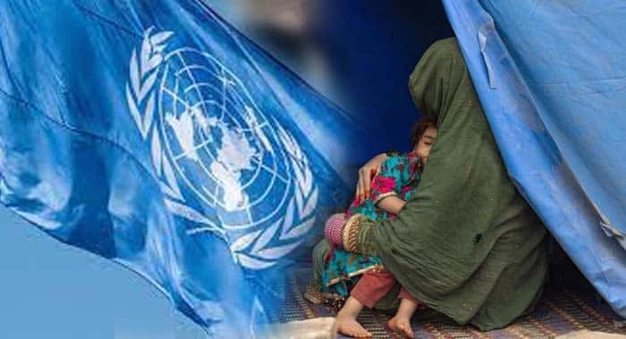 Afghan, Afghan Women Return, Taliban, Ban on Girls' Education, UN Report on Afghan Women