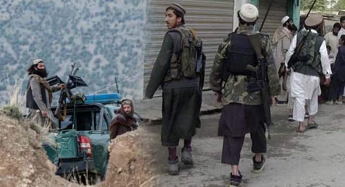 Gulf, Taliban, TTP Fighters, Afghanistan, TTP Relocation