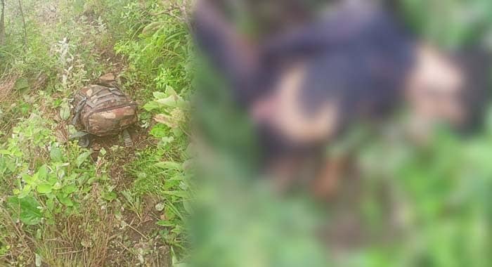 Security Forces, Khariji Killed, Cross-Border Infiltration Attempt, Bajaur, Afghanistan