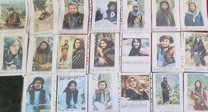 21 Militants, Security Operations, Afghan nationals
