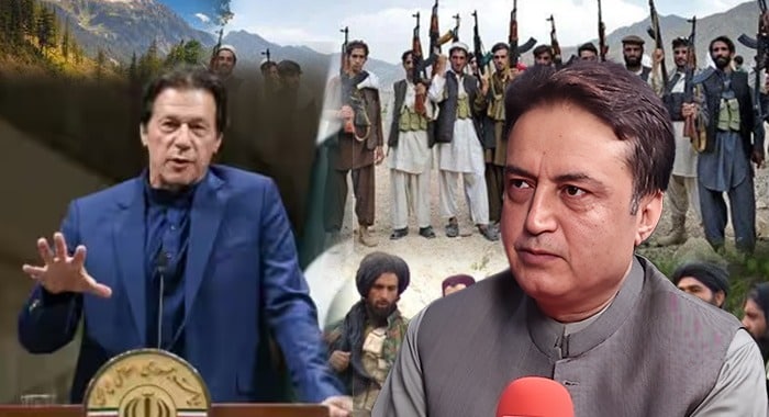 Security, PTI and PTM, Security Convoy, Resurgence of Terrorism in KP, Fight Against Militancy
