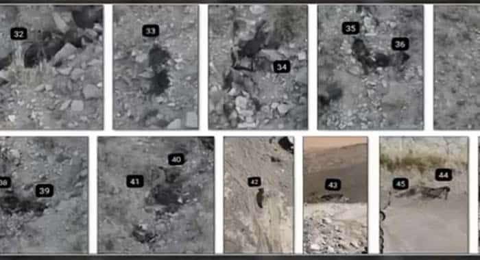 Sambaza Border, Balochistan, 47 Militants Killed, Afghan Nationals, Counter Terrorism Operations in KP and Balochistan