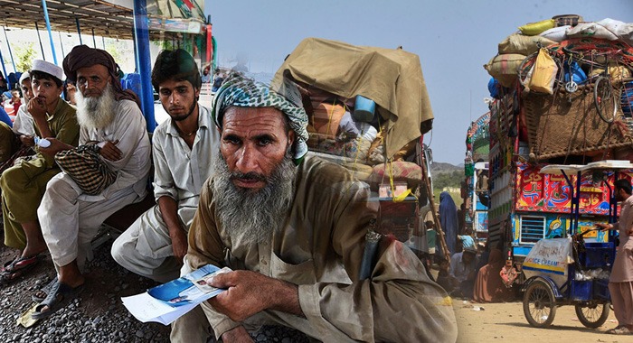 Afghan Refugees, Proof of Registration (POR) cards, International Organisation for Migration, UNHCR, SAFRON