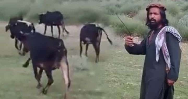 Khawarij, Fitna al-Khawarij, Pakistan Tehreek-e-Taliban (TTP), Terror and Extortion, Bannu