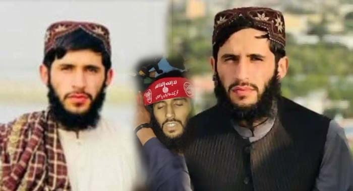 Bajaur, Afghan TTP Fighter, Kabul's Denial, Cross-Border Terrorism, Afghan Soil