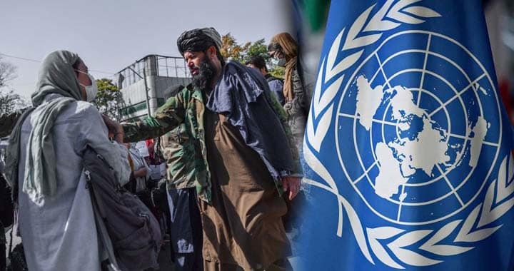 United Nations Human Rights Council (UNHRC)