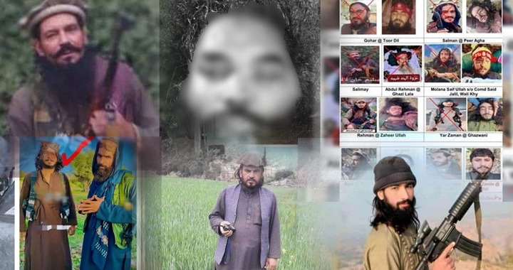 Pakistan, Qari Amjad alias Mazahim, Pakistan's War on Terror, Noor Wali Mehsud, TTP Commanders Killed