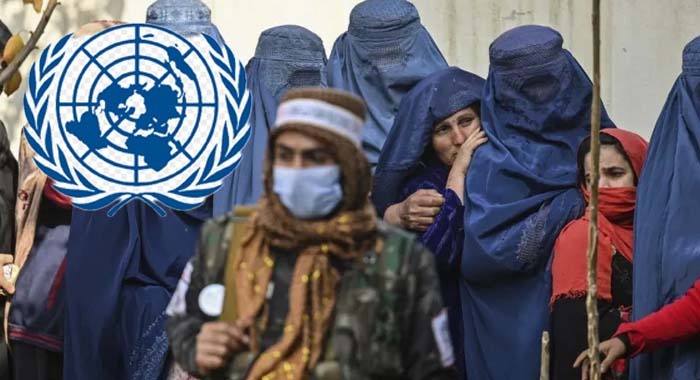 Afghan Women, UN Report, Taliban Ideology, International Day for the Elimination of Violence Against Women, 16 Days of Activism against Gender Based Violence