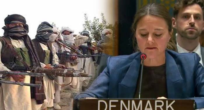Pakistan, Afghan-Backed TTP, Denmark, TTP a Serious Threat, Afghan Taliban and Afghan safe Havens