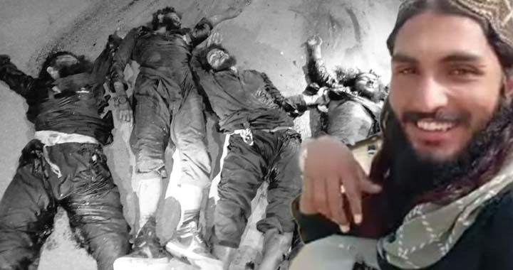 Neutralised, TTP Commanders Eliminated, Tehreek-e-Taliban Pakistan (TTP), Cross-Border Attacks, Security Forces