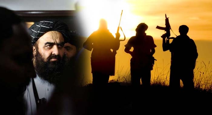 Global Security Concerns, Afghan Taliban, Taliban Sleeper Cells