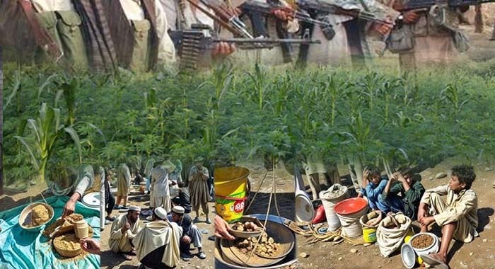 Khyber, Narco-Politico-Terrorism, Hybrid Threat, Pakistan, Bara's Tirah Valley