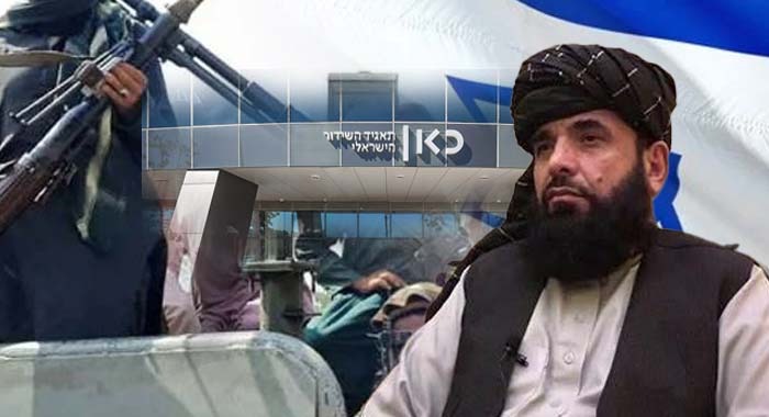 Taliban, Taliban Ties with Israel, Kabul's Diplomatic Shift, Suhail Shaheen, Taliban's Political Office in Doha