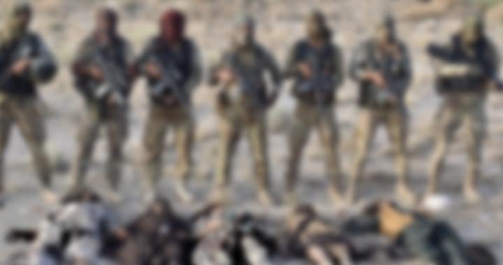 Terrorists, Balochistan Liberation Army (BLA), Fitna al-Hindustan (FAH), Nushki IBO, Pakistan's Fight against Terrorism and Cross-Border Attacks