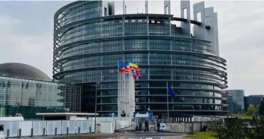 European Parliament, Sanctions On Taliban Leadership, Human Rights Violations in Afghanistan, Afghanistan Under Taliban Rule, Afghan Taliban and Cross-Border Terrorism