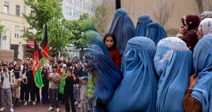 Afghan, Afghan Taliban, Afghan Women, Afghan Diaspora Activism, Afghanistan Under Taliban Rule