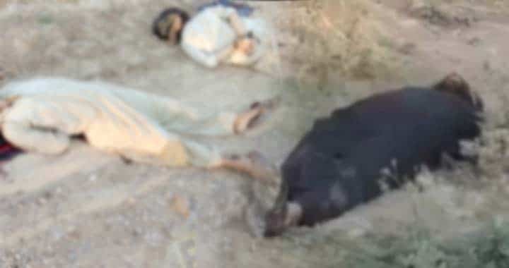 Lakki Marwat. Lakki Marwat Killings, Lakki Police, PTI's KP Govt and The Banned TTP, Pakistan's War on Terror & PTI's Dirty Politics