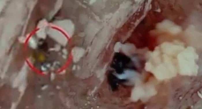 Security Forces, Fitna al-Hindustan, Mastung's Khad Kocha Area, Operation Al-Azam, Pakistan's War on Terror and India-Sponsored Terrorism in Balochistan and Khyber Pakhtunkhwa