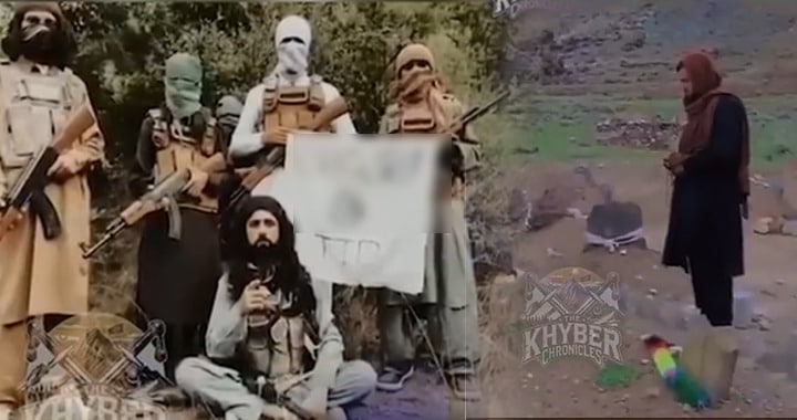 Video, Taliban's Claims, Terrorists' Presence in Afghanistan, Pakistan Fight against Terrorism and Afghan Safe Havens, Pakistan's War on Terror