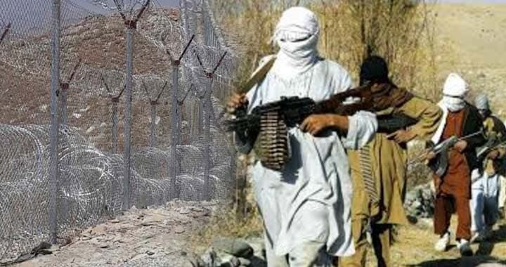 Taliban’s, Taliban's Promises and Taliban's Control, Afghan Nationals Eliminated in Pakistan