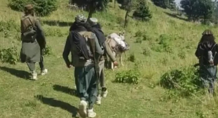 Commander, TTP's Operational Network Across KP, Terrorist Safe Haven in Afghanistan
