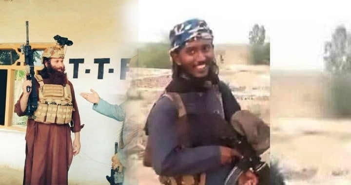 The TTP، Foreign Nationals in TTP, Afghan Soil, Pakistan's Security Forces, Pakistan's War on Terror and Afghan Taliban's Double Game