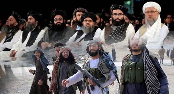 Taliban, International Findings on Terrorist Groups in Afghanistan, Afghan Taliban, Afghan Taliban and Terrorist Safe Havens, Afghanistan Under Taliban Rule