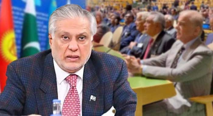 Pakistan, Afghanistan and Regional Peace, Palestine and Kashmir, United Nations General Assembly (UNGA)