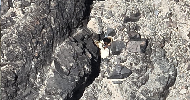 Eliminated, Terrorists eliminated, Chagai Operation