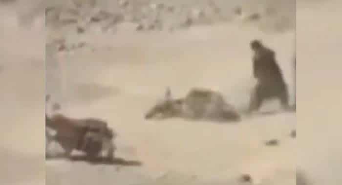 Afghanistan United Front, Taliban Fighters Killed in Kandahar, Afghanistan Under Taliban Rule